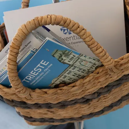 Apartment Ninael International